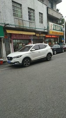 Weiji Daojiang Zong (Xinxing Road Store)