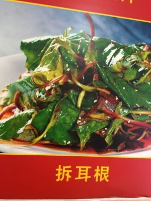 Guizhou Sichuan Cuisine