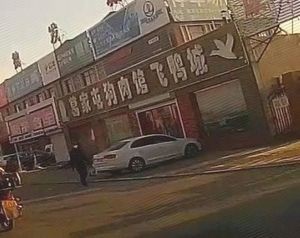 Gejiatun Dog Meat Restaurant Fei Ya Cheng