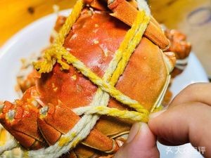 Crab Palace