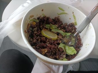 Lu Yi · Benwei Light Meals Oak Shield Branch
