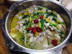 Spring Warm Frog (Tonghu Branch)