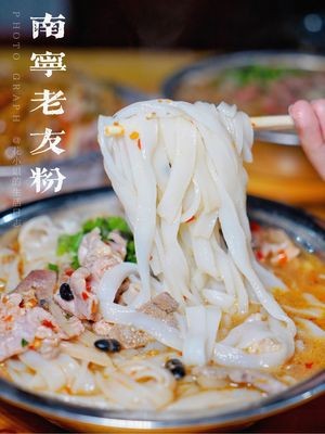 Su Shi Lao You