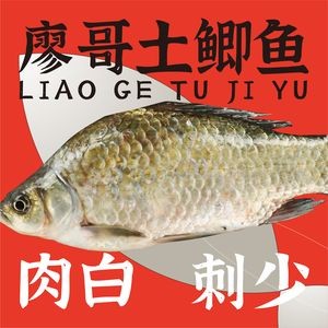 Liao Ge Earth Carp Rice Bowl (Anji Wall Street Branch)
