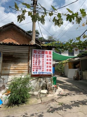 Yang's Hunan Noodles