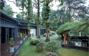 Shier Shanju (Forest Park Store)