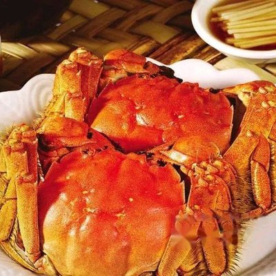 Yangcheng Lake Crab