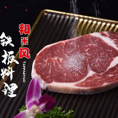 Wafu Teppanyaki (Paris Spring Store)