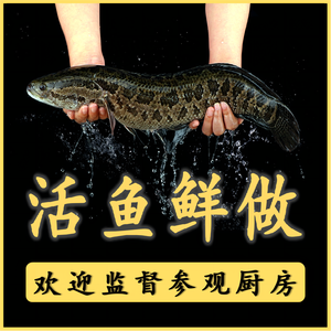 Bai Sai Wo Sour Fish · Clay Pot Dishes · Stir-fried Dishes (Dahua First Ward Branch)