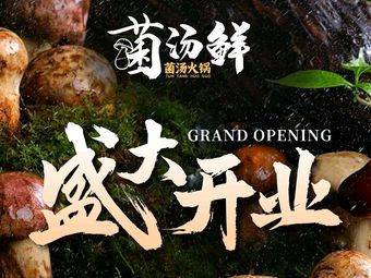 Wild Mushroom Soup · Yunnan Wild Mushroom Hot Pot (Shanghai First Store)