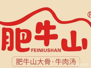 Feiniu Shan Dagujiao Beef Soup (Dalin Road Store)