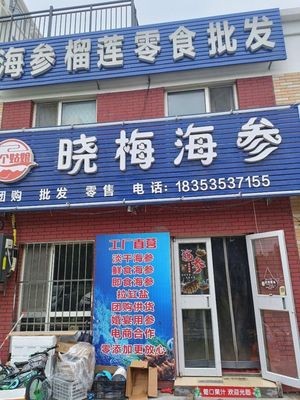 Xiaomei Sea Cucumber Wholesale