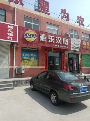 Jiale Burger