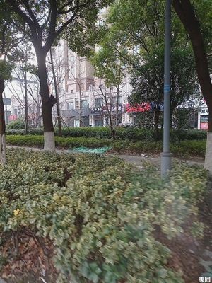 Meng Gu Barbecue