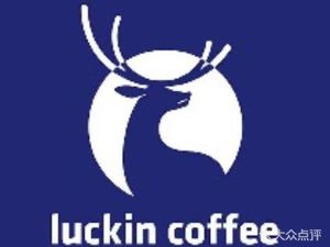 Luckin Coffee (Changzhou Longhu Longcheng Tianjie Branch)