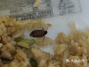 Old Changsha Stir-Fry Fast Food