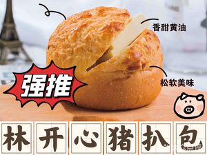 Lin Kai Xin Pork Cutlet Bao (Dongping Branch)