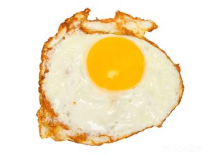 Wen Yu Home-style Cuisine (Yuexiu Xinghui Wenyu Branch)