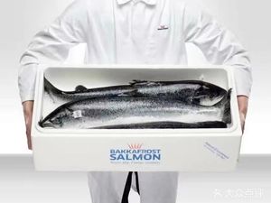Haiyun Norwegian Salmon (Liwan Branch)