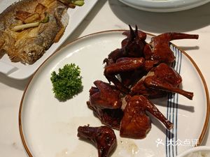 Guangzhou Jinxin Chicken Time Pigeon