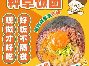 Zhi Zhuang Rice Balls