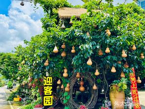 Yingke Garden Farmhouse