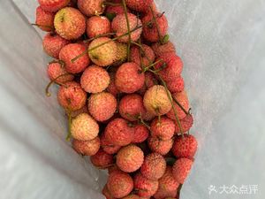Jin Xi Farm