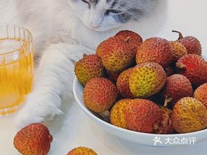 Litchi Garden Farmhouse