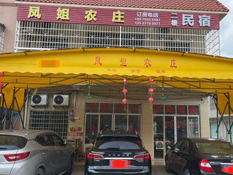 Aunt Feng's Farm