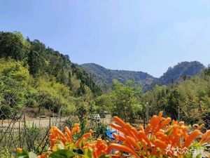 Xitou Village Green River Farmhouse Cuisine