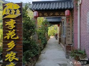 李花乡农庄•乡村乡菜•民宅小院(溪头村店)