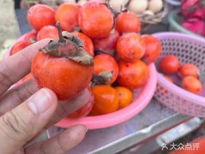Zhushan Farm