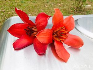 Huagong 4u Campus Coffee House