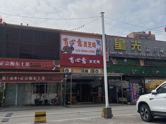 You Xinyi Lingzhi Chicken