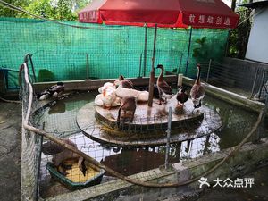 Baohua Garden Mountain Villa