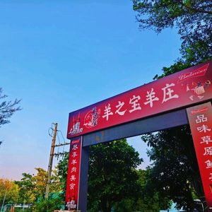 Yang Zhi Bao Sheep Farm & Free-range Chicken & Shunde Fish Sashimi
