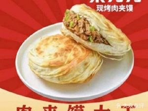Qin Dao Dao Roasted Meat Sandwich