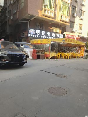 Shunde Traditional Flame-Soaked Goose (Hebian He Nanlu Store)