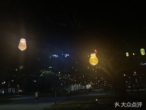 Xinghuo Town Wild