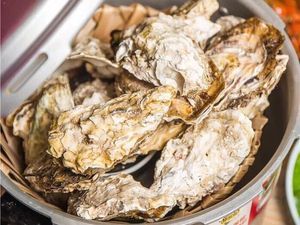 Xiaopeng Oyster