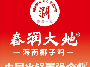春润大地海南椰子鸡(金田影食广场店)