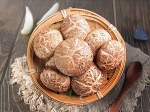 Yuan Xiang Zhai Braised Chicken Rice