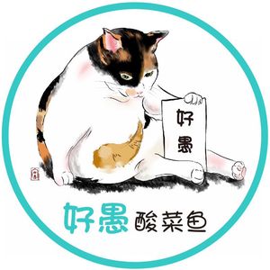 好愚酸菜鱼(龙屋商业大厦店)