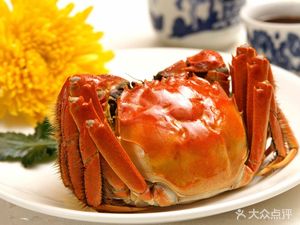 Princess Shrimp (Guanlan Branch)
