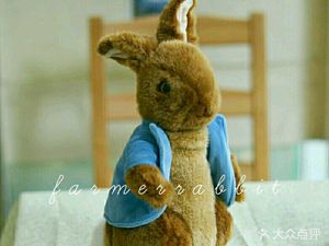 Farmer and Rabbit Cafe