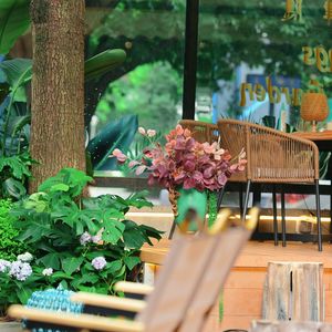 Things · Garden · Hidden Garden Restaurant Bar