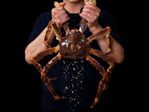 Xian Zhugong Original Steam Seafood (Shuangnan Store)