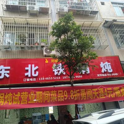 Dui Pie Zi Dongbei Tie Guo Dun