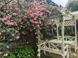 续园农家乐·柴火鸡·团建·聚餐(空港花田店)