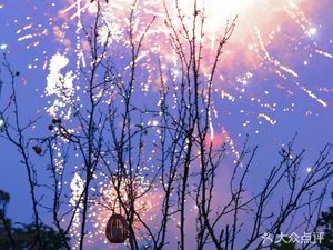 Xiake Mountain Villa · Fire Chicken · Specialty Chinese Food · Barbecue · Camping Fishing